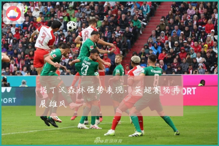 诺丁汉森林强势表现，英超赛场再展雄风