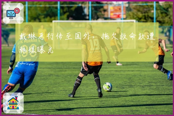 戴琳恶行传至国外，拖欠救命款遭韩媒曝光