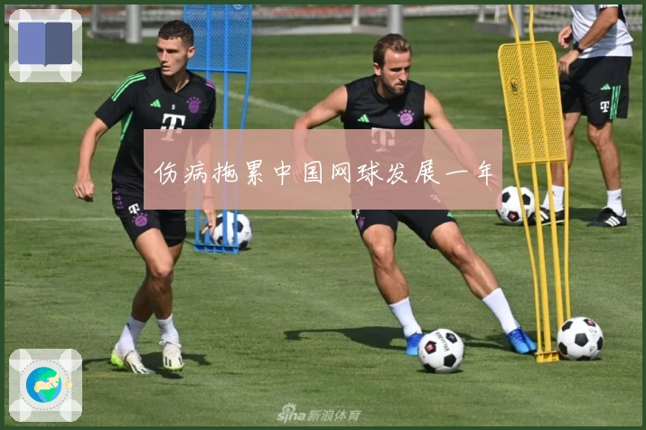 伤病拖累中国网球发展一年