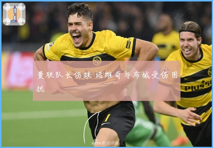 曼联队长伤缺 诺维奇与布城受伤困扰